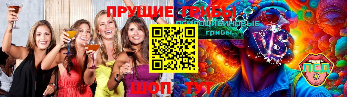 Галлюциногенные грибы Psilocybe  Галлюциногенные грибы Cubensis  Вход с VPN  Кандалакша 